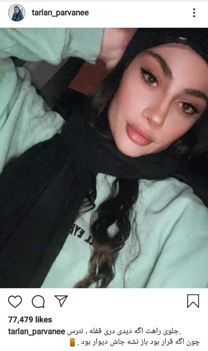 ترلان پروانه
