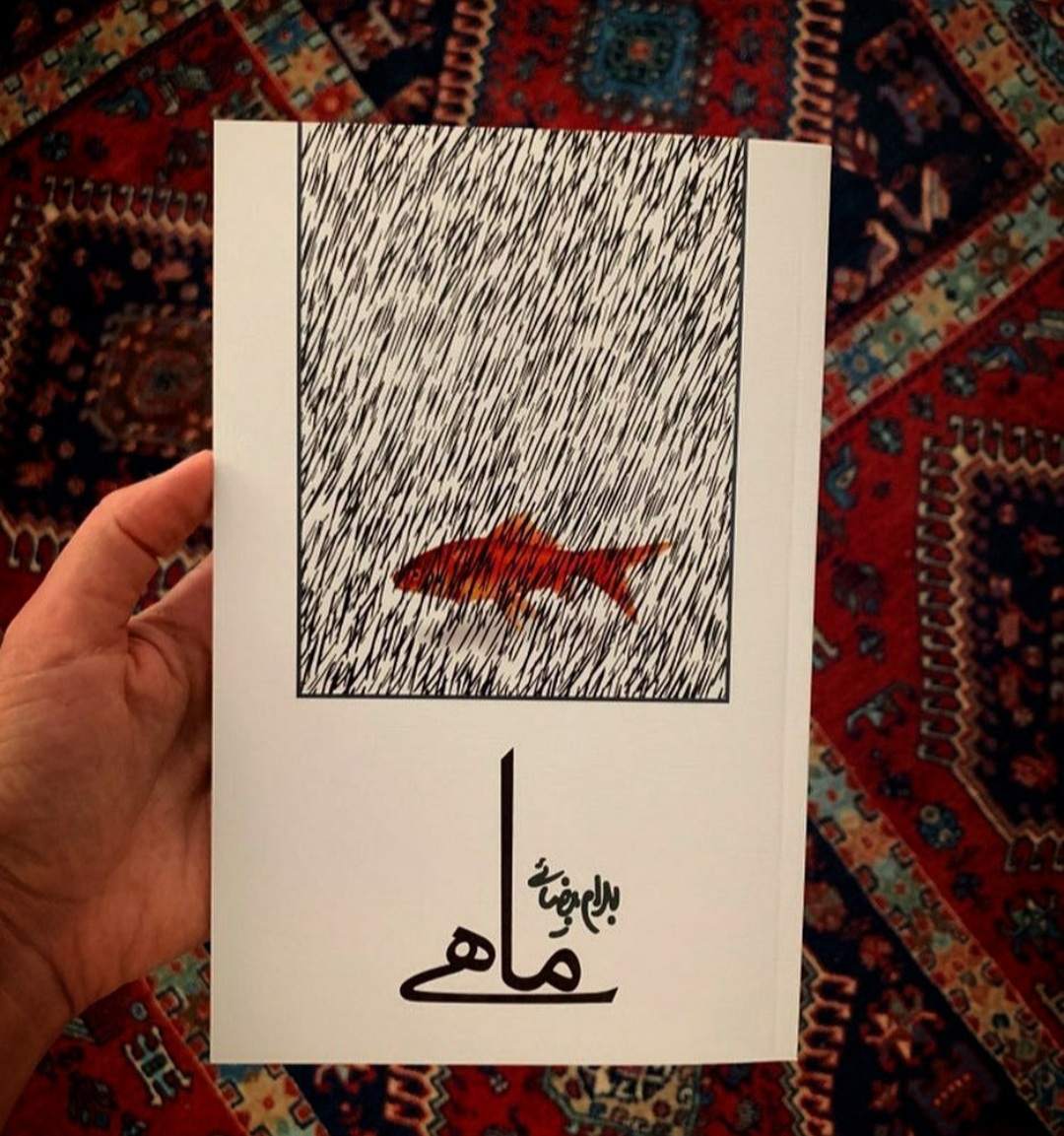 بهرام بیضایی سعید امامی