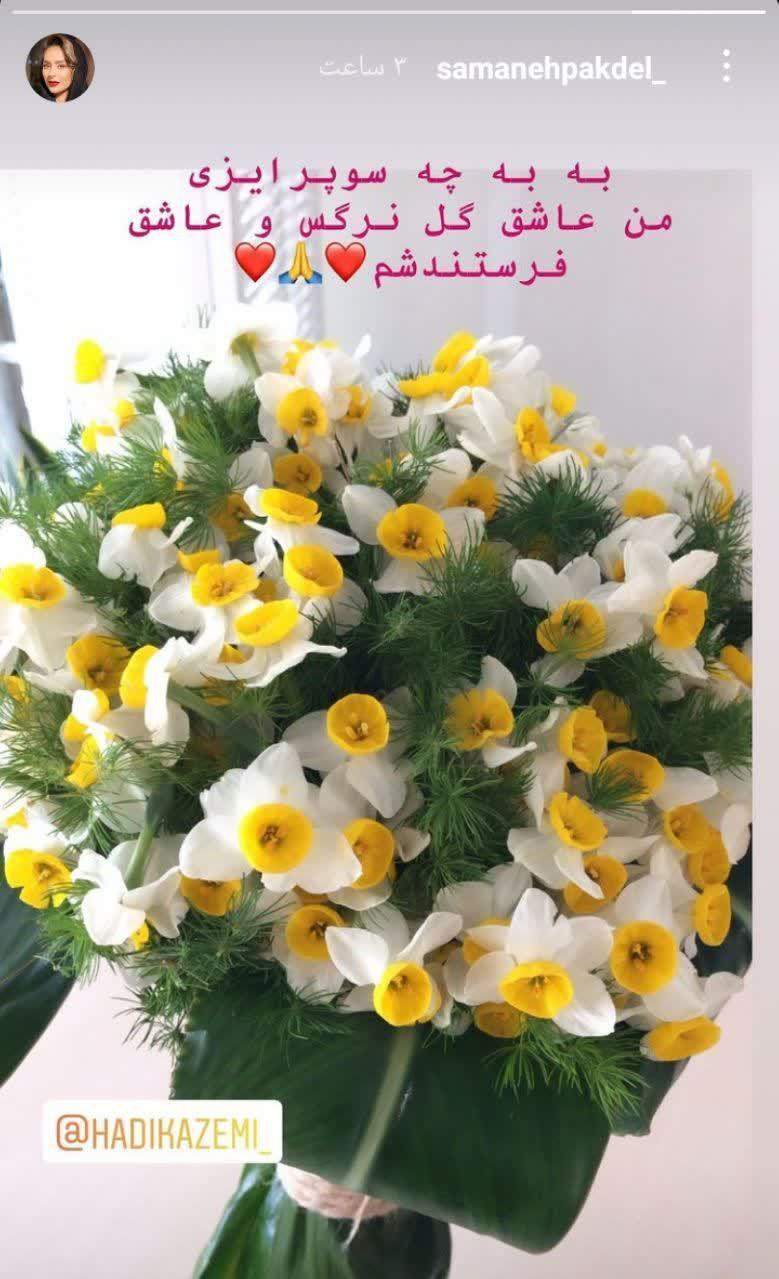 سمانه پاکدل