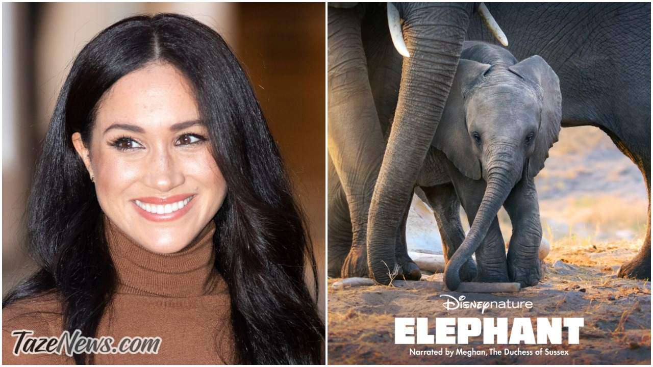 بازیگری مگان مارکل در Elephant