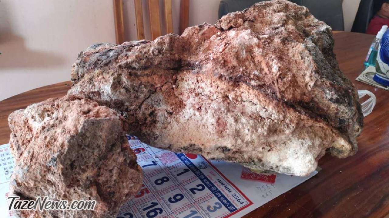 استفراغ نهنگ عنبر