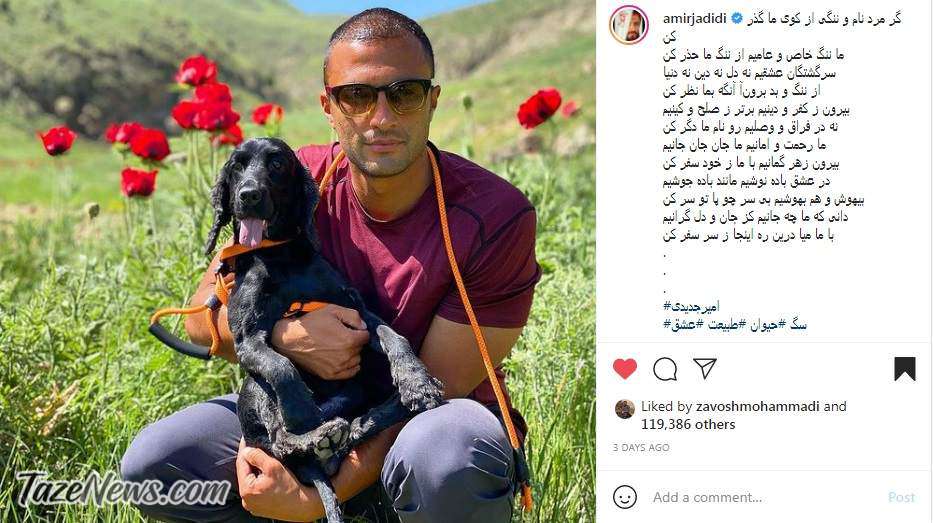 پست امیر جدیدی در مورد طرح صیانت