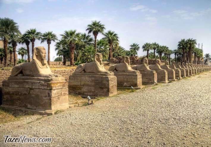 بازگشایی خیابان باستانی ابوالهول در مصر