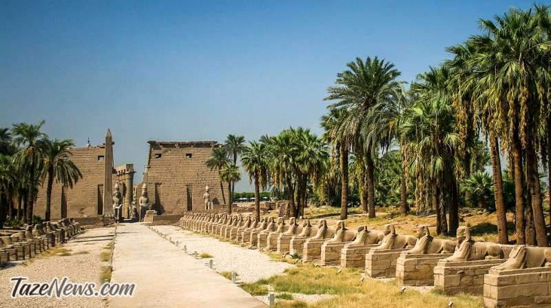 بازگشایی خیابان باستانی ابوالهول در مصر