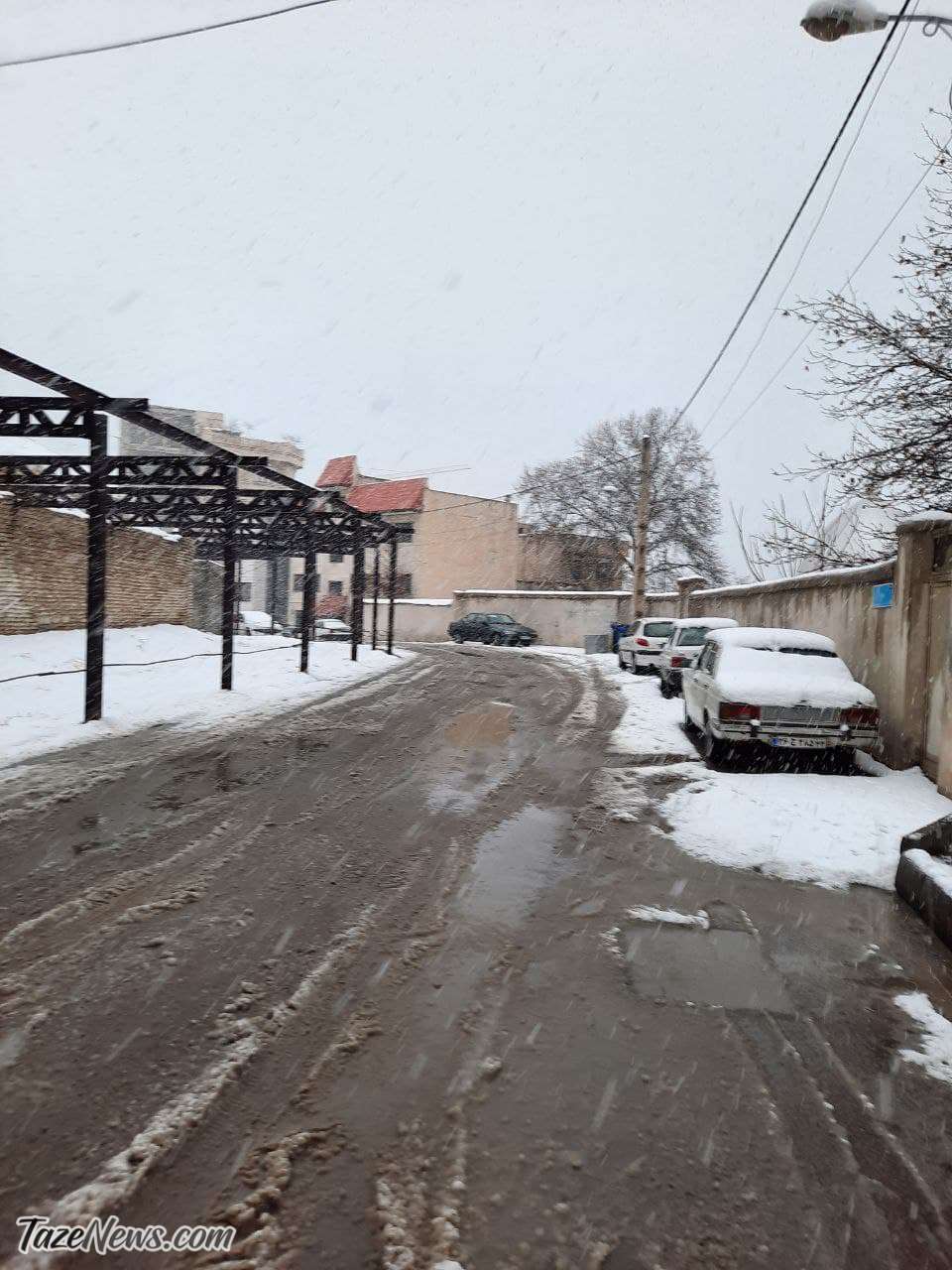 بارش برف در تهران