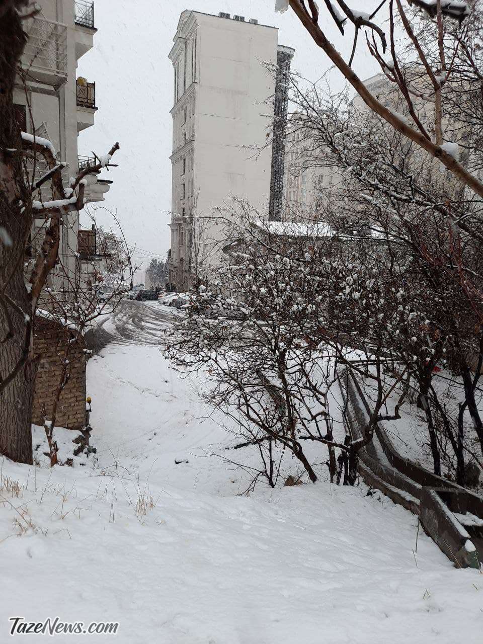 بارش برف در تهران