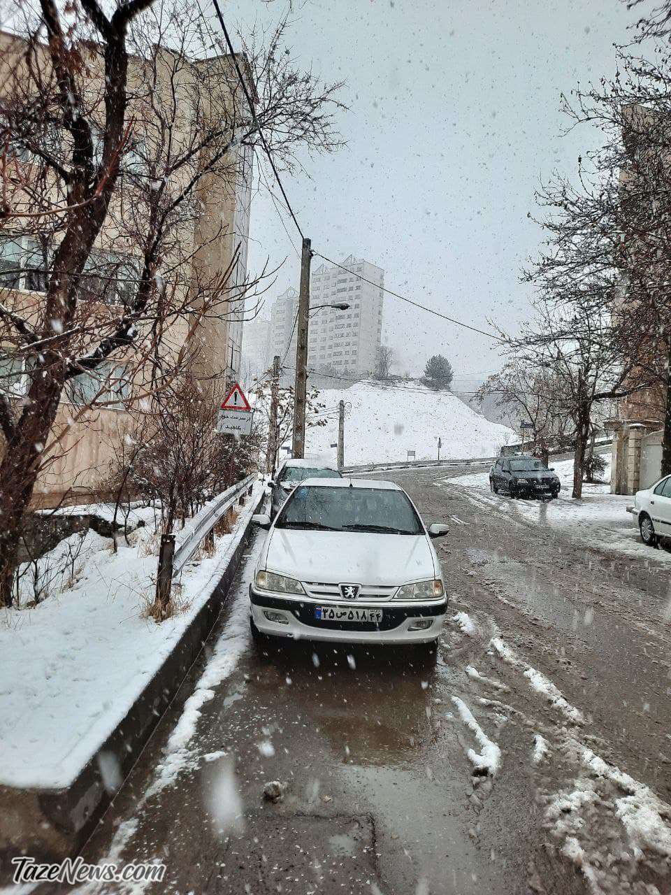 بارش برف در تهران