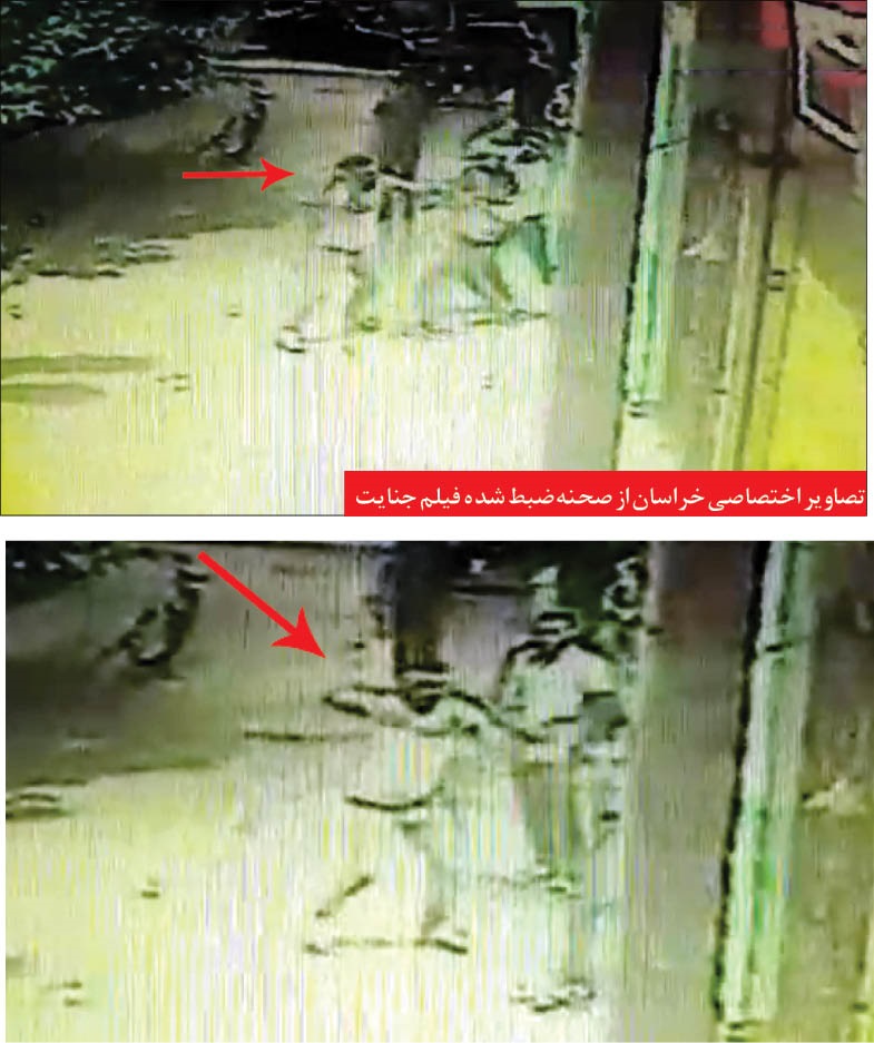 قاتل جمجمه پلاستیکی