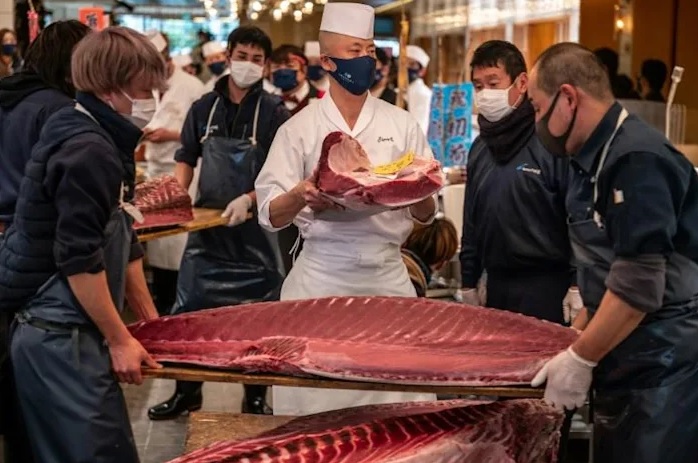 ماهی تن 145 هزار دلاری در بازار ماهی توکیو