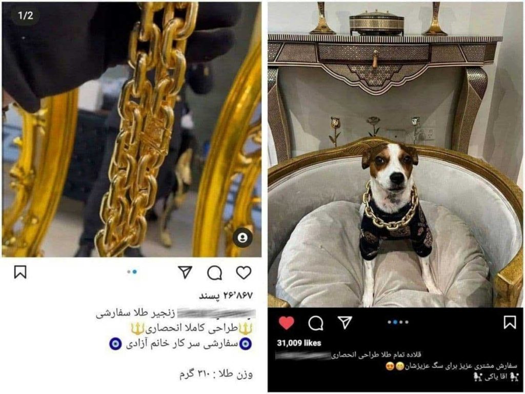 قلاده طلای ۵۰۰میلیونی برای سگ