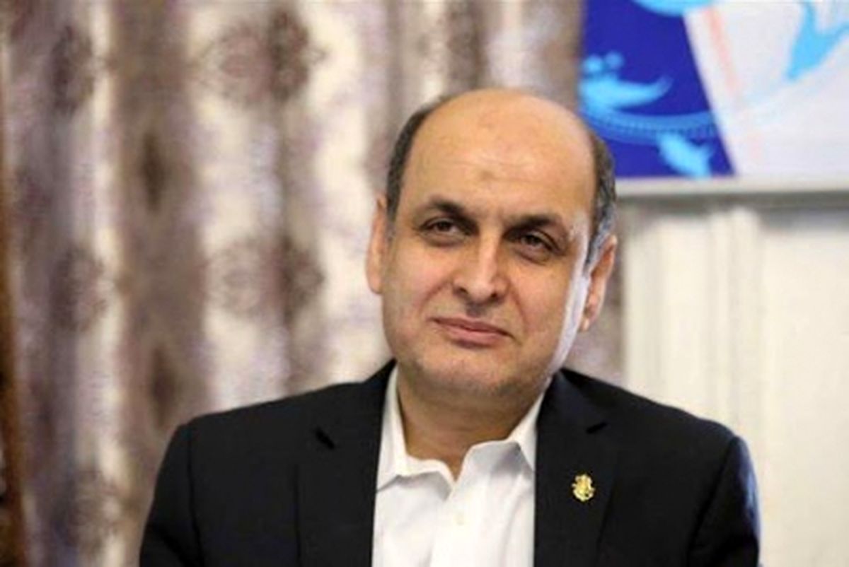 هادی حق‌شناس، تحلیلگر مسائل اقتصادی