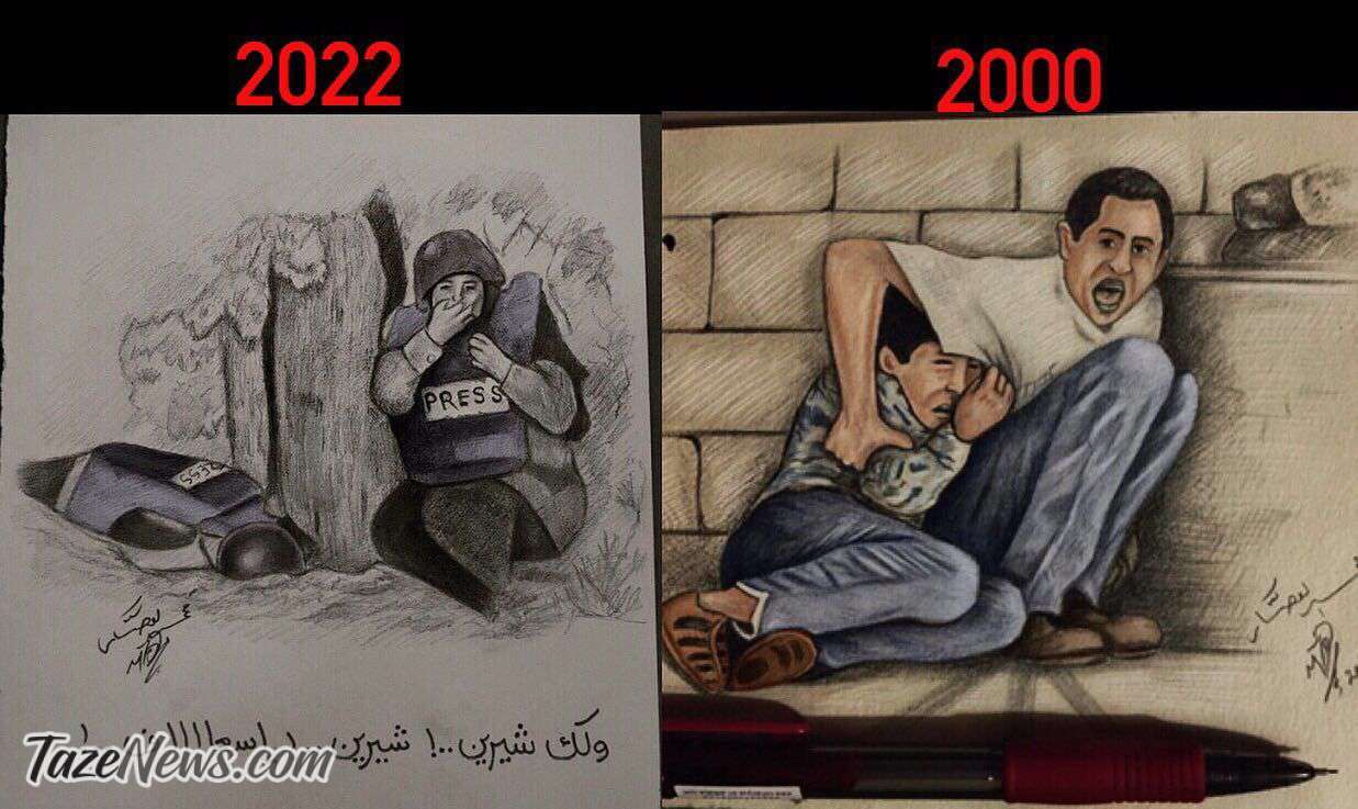 شیرین ابوعاقله
