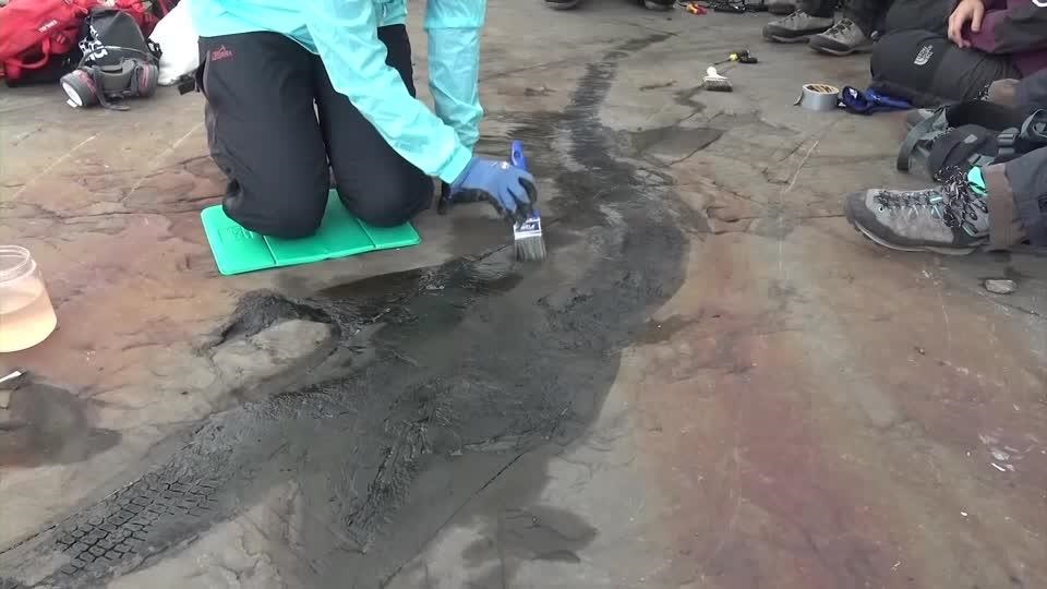 فسیل ۱۳۹ میلیون ساله