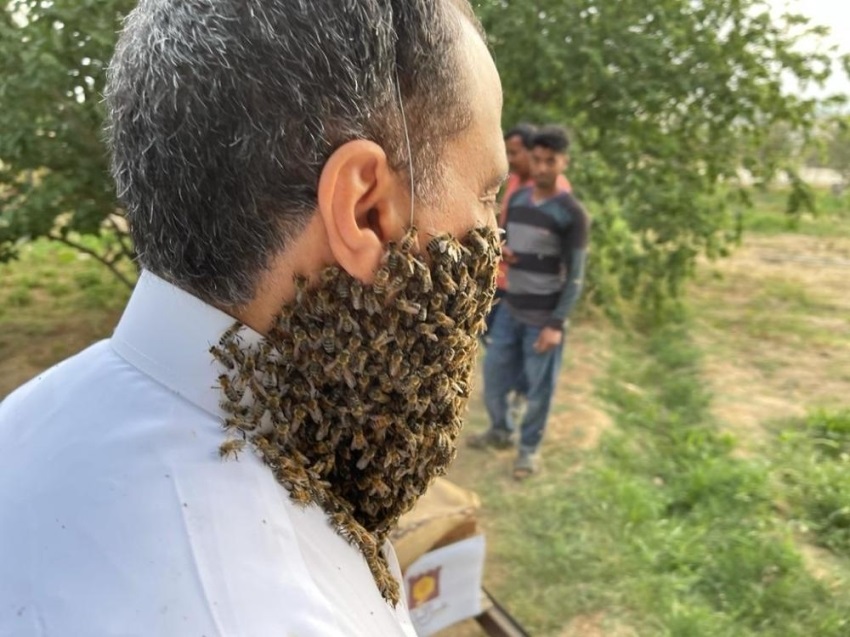 نگهداشتن زنبور روی صورت