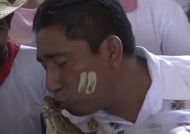 ازدواج شهردار مکزیکی با تمساح ۷ ساله۱