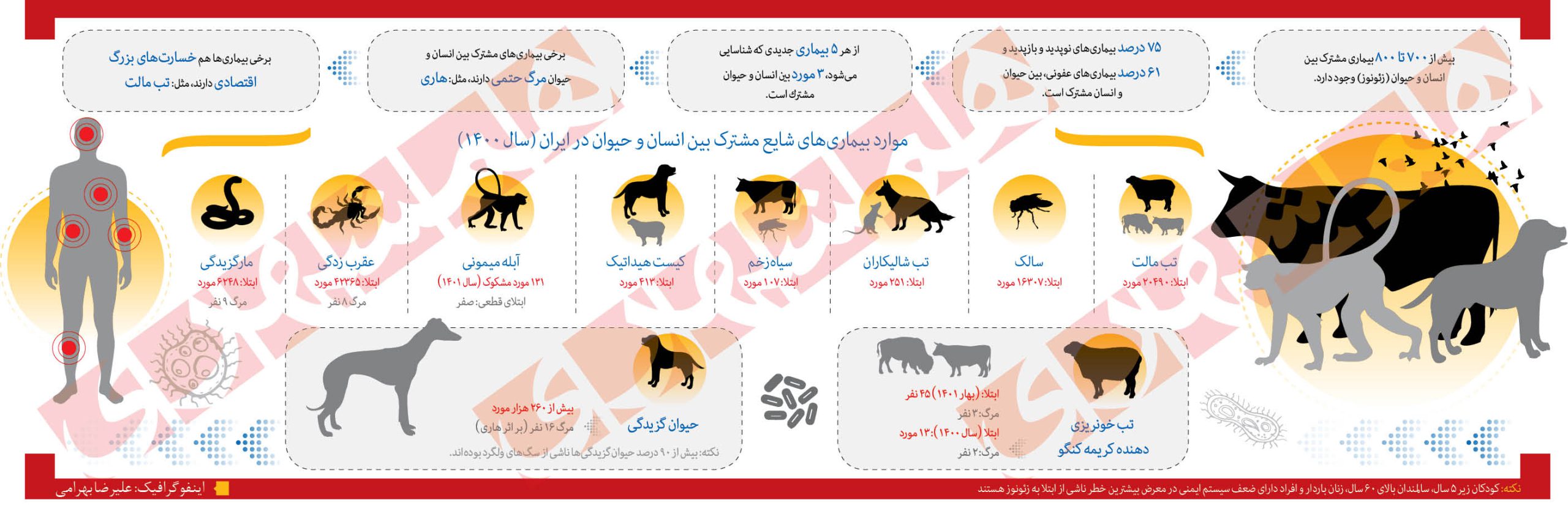 بیماری مشترک انسان و حیوان