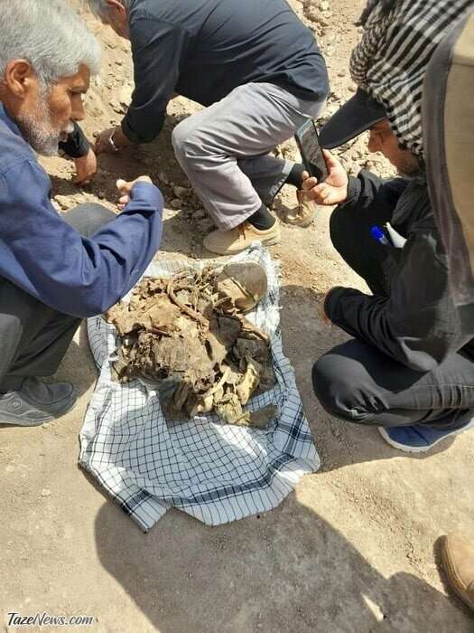 کشف پیکر شهید