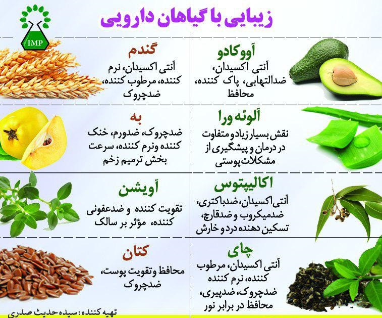 گیاهان دارویی موثر در سلامت پوست