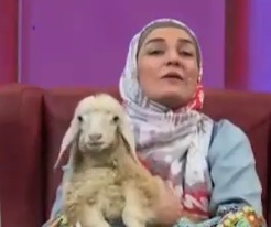بره در آنتن صداوسیما