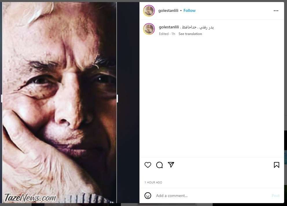 پست اینستاگرام لیلی گلستان برای پدرش