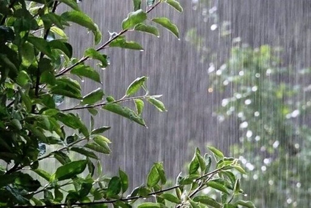 بارش باران